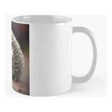 Taza Animal Erizo Calidad Premium