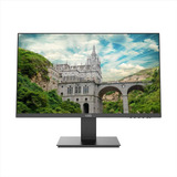 Monitor Kalley 24 Pulgadas K M24fp Negro Full Hd