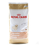 Royal Canin Labrador Retriever Junior 12kg Envio Gratis T#