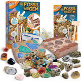 Kits De Excavacion De Fosiles Y Piedras Preciosas 34 Pz