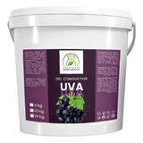  Gel Conductor De Uva Aparatología 19 Kilos