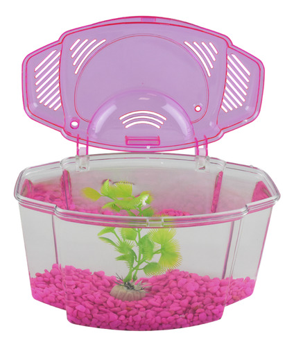 Kit Betera 1.8l Rosa Acuario Con Planta Y Grava Decorativa