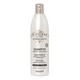 Il Salone Milano Alaparf Shampoo 500ml Cabello Normal A Seco