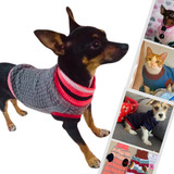 Kit 5 Roupa Roupinha Cachorro Pinscher Filhote Micro E Mini