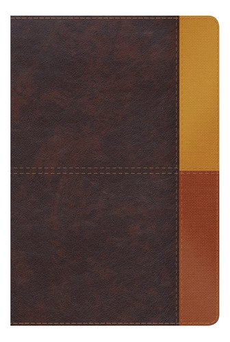 Rvr 1960 Biblia De Estudio Arcoiris, Cocoa/ Terracota Simil 