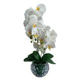 1 Unidade De Orquídea Artificial Branca Para  Decorações 