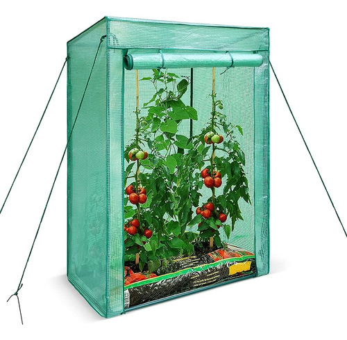 Altdorff Mini Greenhouses Planta De Tomate, Invernaderos Por
