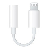 Convertidor Entrada Compatible Con Appple Salida Plug