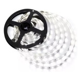 Tira Led 2835 Interior Frio 12v 240 Led.