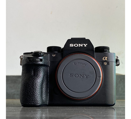 Sony Alpha A9 Mirrorless (a7iii A7iv A7r A7riii)