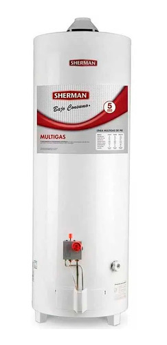 Termotanque Sherman Multigas 80 Litros Pie C/superior Tpgp80