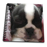 Escritura -   Boston Terrier Puppy-mini Bloc De Notas, 4 X 4