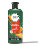  Herbal Essences Bio: Renew Curly Shampoo, Aloe Y Mango, 13.5