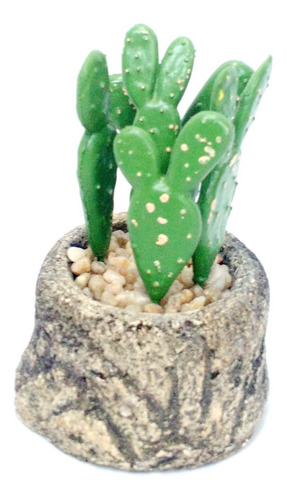 Suculenta Souvenir Regalo Cactus Planta Artificial