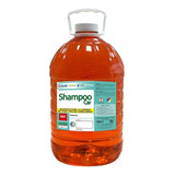 Shampoo Líquido Para Carrocería.  5 Litros