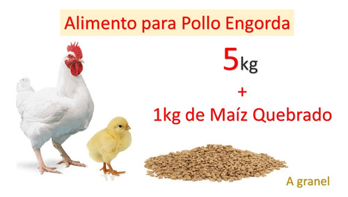 Alimento Para Pollo De Engorda + Regalo