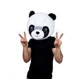 Mascara Animal Oso Panda Kawaii  Disfraz Fiesta Botarga