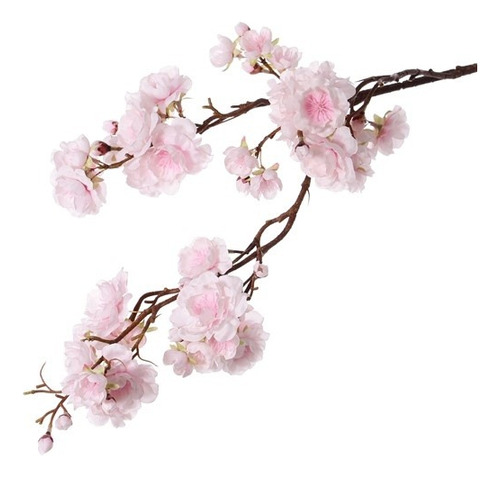 Cerezo Sakura ( Prunus Serrulata)   Arbustos Grandes !