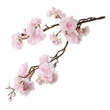 Cerezo Sakura ( Prunus Serrulata)   Arbustos Grandes !