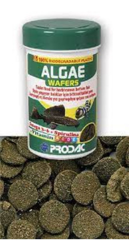 Alimento Prodac Algae Wafers 50g P/ Peces Hervíboros Plecos