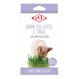 Kit De Cultivo Grama De Gato E Trigo (linha Pet) Isla