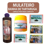 Banha Tartaruga 4 Und+ 1sabonet Liq Mulateiro+ 4 Em Barra