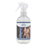 Aero Soft Perfume De Ropa Spray X250 Invictus