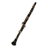 Clarinete Con Estuche Rowell Ywcl-02