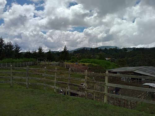 Venta Lote En Alto De Las Palmas Muy Cerca Al Peaje Con Casa Campesina - Imagen 4