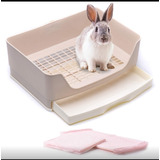 Arenero Caja Para Conejos Práctica Y Resistente