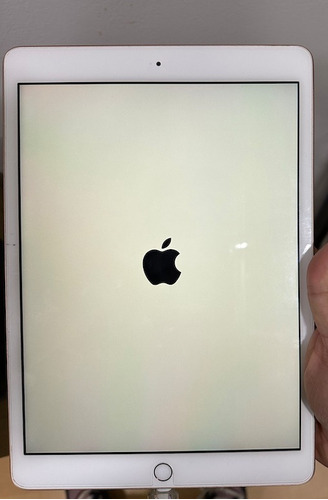 iPad  Apple  7th Generacion 32gb Wifi Con Lapiz 1 Gen