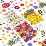 Flores Secas-116 Pcs Kit De Hierbas De Flores Secas Naturale