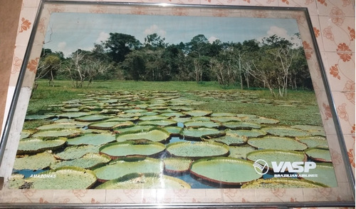 Quadro Antigo Da Vasp De Vidro Completo No Amazonas Am