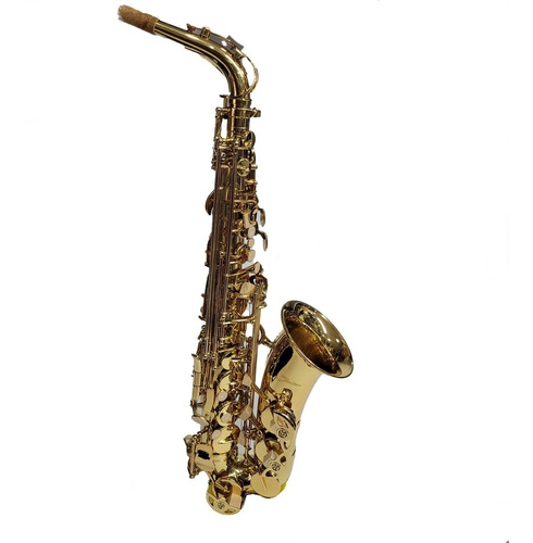 Sax Alto Shelter Sgft6430l