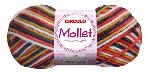 Kit 5 Lã Mollet Multicolor 100g Círculo Tricô Crochê