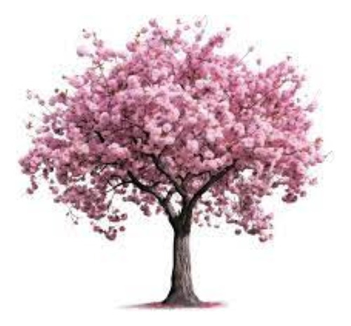 Cerezo Arbol - 1.7mts.e.gratiscaba-gba.vivero Hab.xsenasa