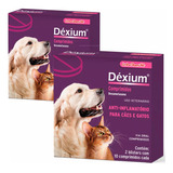 Anti-alergico Coceira Cães Dexium 20cp Kit Economico C/02 Cx