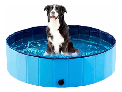 Piscina Plegable Para Mascotas Perro Ducha Verano 80x30cm