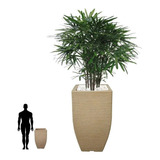 Caso De Planta - Vasos Para Plantas - Quadrado T 75x40