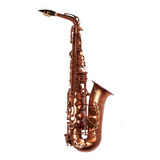 Saxo Alto Renaissence Parquer Estuche Kit Cañas Psarn Cuota