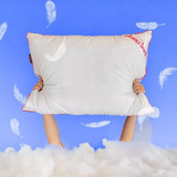 Travesseiro De Pluma Touch® - I Wanna Sleep - 50x70cm Cor Branco