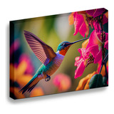 Cuadro Lienzo Canvas Colibrí Volando Flor Sala Comedor 30*40