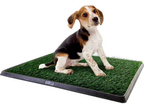 Bandeja Sanitaria Perro Alfombra Green Carpet Dog' Stuff
