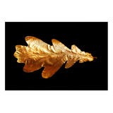 Vinilo 50x75cm Oro Hoja De Arbol Dorada Leaf Moderno