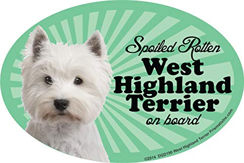 Imán Para Coche Prismatix Decal Westie: Spoiled Rotten Westi