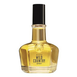 Perfume Masculino Wild Country Spirit Edt Avon 100ml