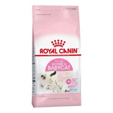 Royal Canin Babycat 34 1,5 Kg Gatitos Destete El Molino