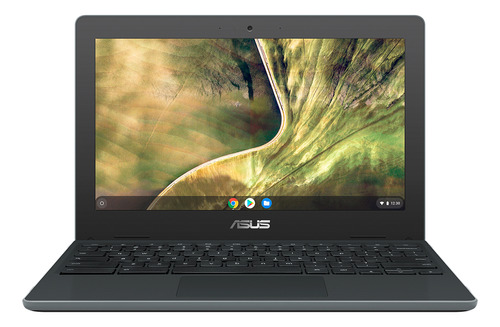 Notebook Asus Chromebook C204m N4020 Hd 11.6in Ram 4gb 64gb Color Gris