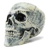 Cabeza Calavera Deco Decoracion Craneo Halloween Color Gris - Him-43