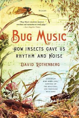 Libro Bug Music : How Insects Gave Us Rhythm And Noise - ...
